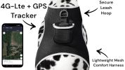 Lightweight Rechargeable Collar Pet GPS Tracker for Dogs with Movement Detector Size:S