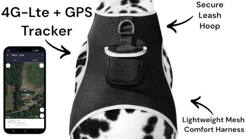Lightweight Rechargeable Collar Pet GPS Tracker for Dogs with Movement Detector Size:S
