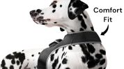 Wireless Pet Monitoring with Pet Tracker GSM GPS Pocket Dog Collar Tracker Size:XXL
